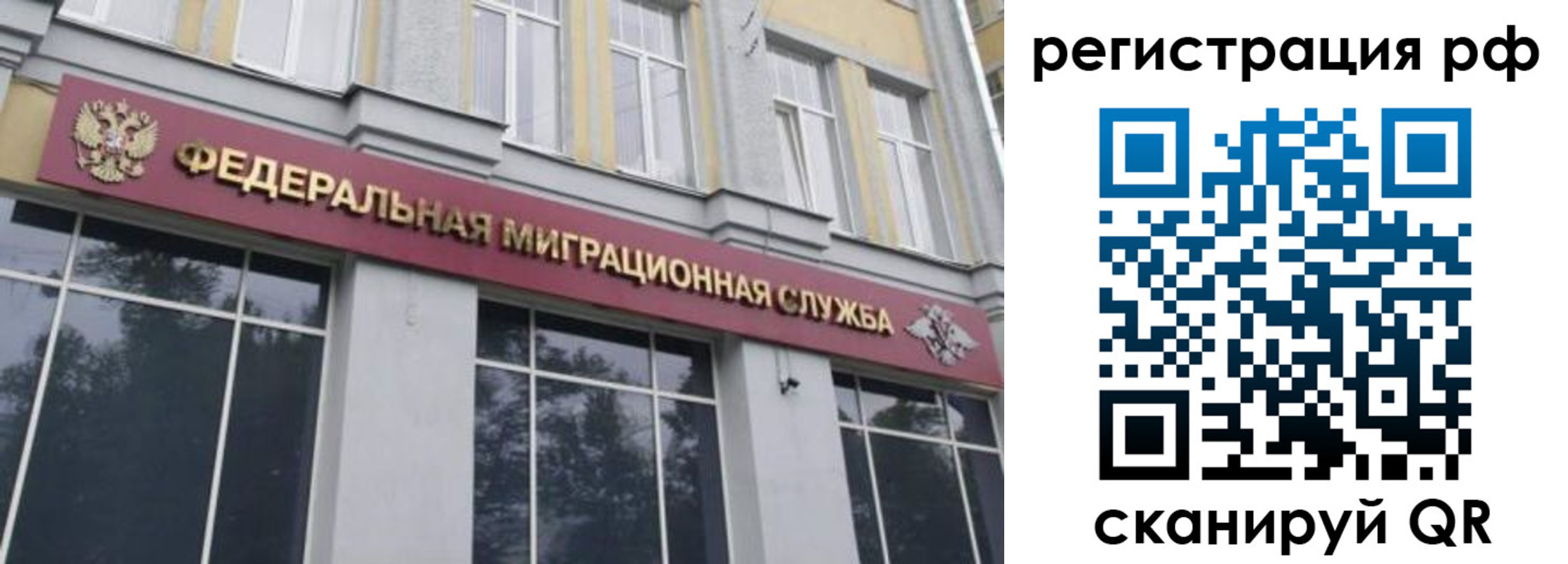 прописка законно в Пионерском